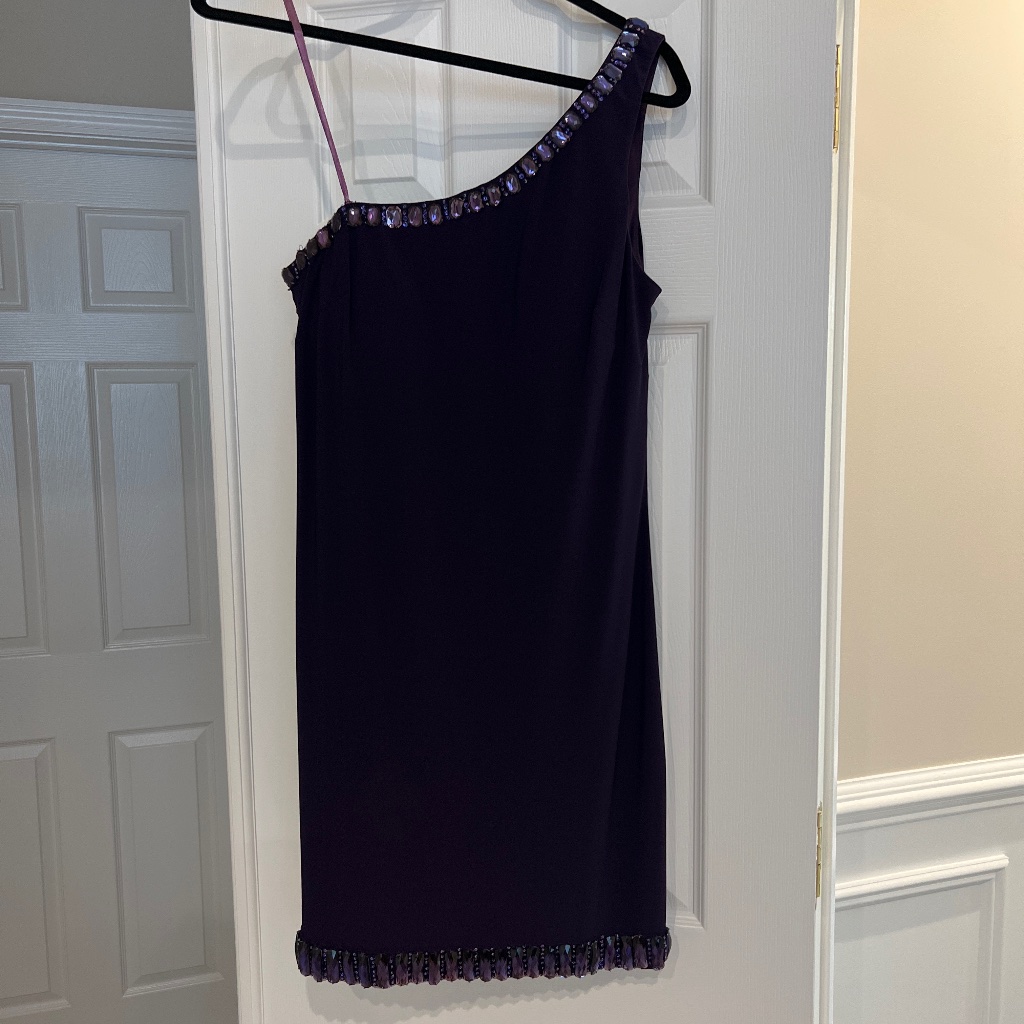 New Basix Black Label Purple Dress Size 10